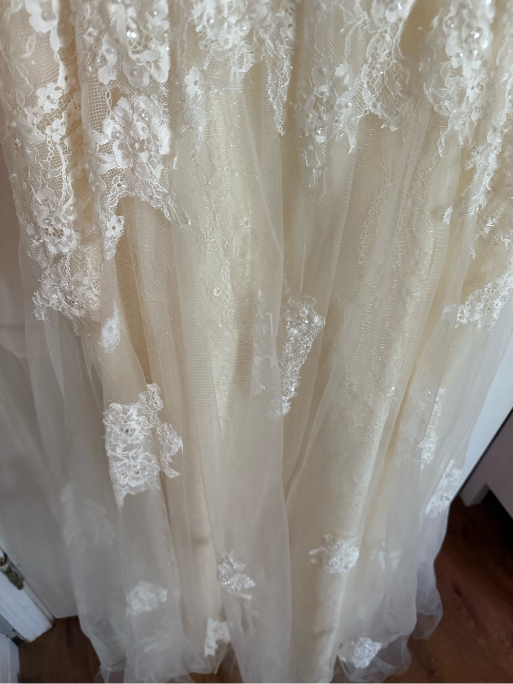 BHLDN Ivory and Champagne Lace A-Line Wedding Gown - Picture 10 of 10
